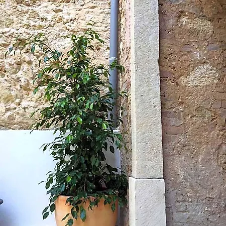 Wine Hotel Lisbona