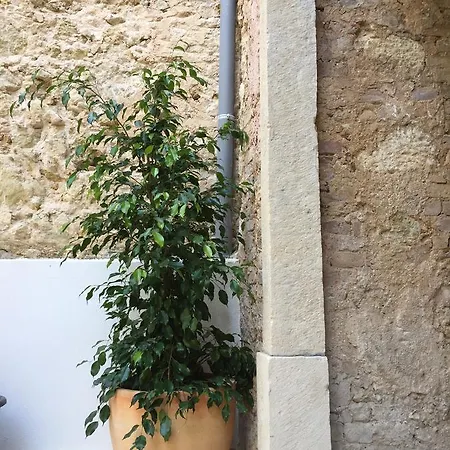 Wine Ξενοδοχείο 4*