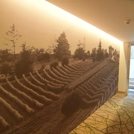 Ξενοδοχείο Wine 4*